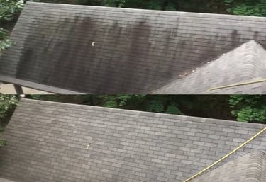 Before and after cleaning and removing black streaks on a shingle roof