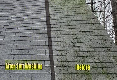 Before and after cleaning a shingle roof