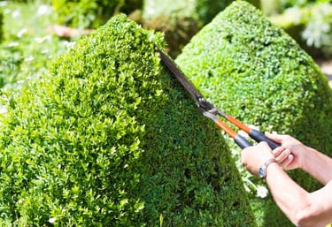 Entretien de vos Jardins à l'Arbresle et dans l'Ouest Lyonnais