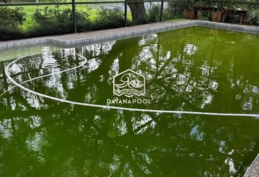 kolam renang dengan masalah air yang hijau dan berlumut.