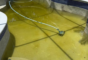 Maintenance kolam renang di Tegallega oleh dayanapool