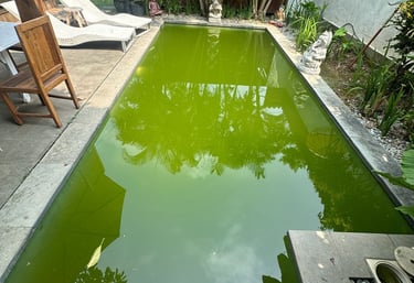 kolam renang dengan masalah air yang hijau dan berlumut.