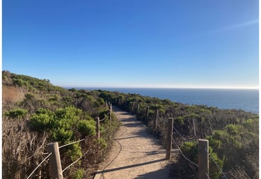 A dirt path along the shrub littered cliffside above the Pacific in Malibu, California