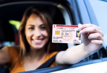 Driving licence conversion