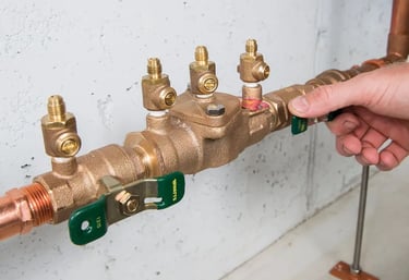 Backflow device