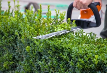 hedge trimming