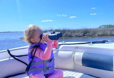 Looking for dolphins on guided boat tour off 30A