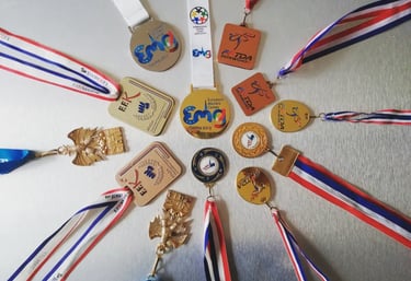 medailles deu palmares de stephane verrrando en Taekwondo