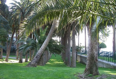 Parc Vigier