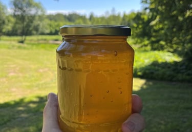 a person holding a jar of honey