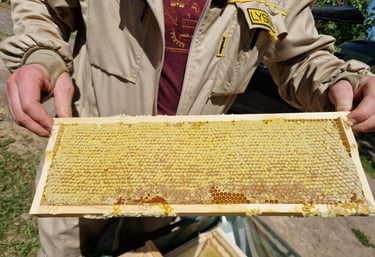 a man holding honey comb