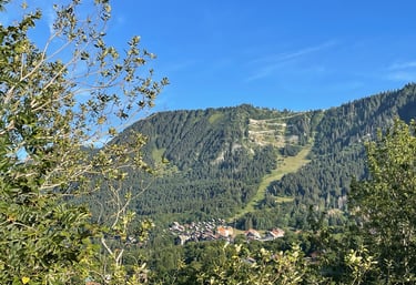 Vue sur la station de Thollon-les-Mémises