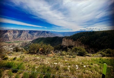 Vegetation Management Consulting in Colorado by Nectagrity