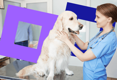 vets energy broker