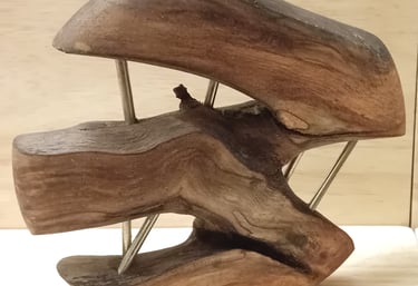 Sculpture of fused ivy branches turned to give a circular edge with metal rods between the branches