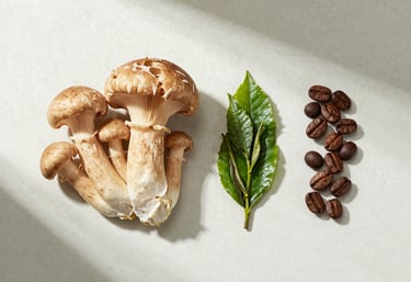 A creative flat-lay of the ingredients in Calegre Pure Focus: Lion's Mane mushrooms, vibrant green tea leaves, and organic coffee berries arranged on an off-white mist textured surface with muted sage green shadows.