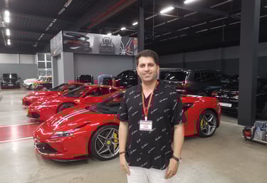 Senior marketing consultant in Ferrari project