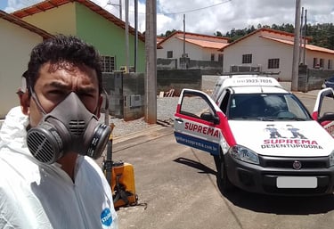 dedetização