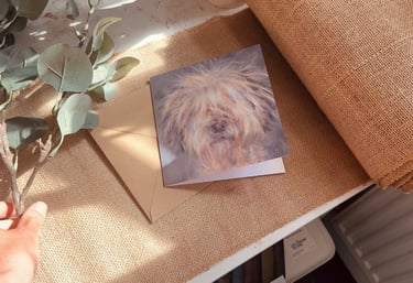 A backdrop used for photographing a greeting card to a