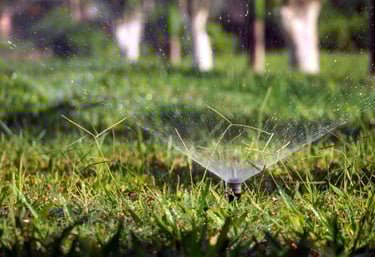 Beyond Curb Appeal irrigation sprinkler and landscaping services in Austin Texas