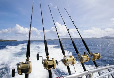 5 fishing rods with sea returning to Puerto los cabos.