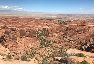 Grand Junction Personal Assistant Services