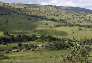 Après le voyage, suivi et transparence