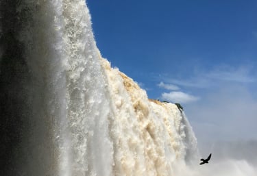 a bird flying over a waterfall