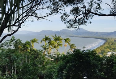 Mountain top view of Port Douglas in Cairns with palm trees and the ocean view, tropical summer