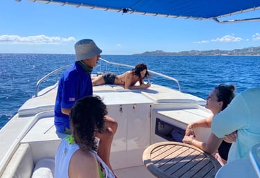 Marine life in San José del Cabo