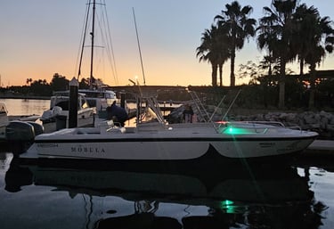 Golden hour boat tour in Los Cabos