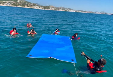 Snorkeler exploring coral reefs in Los Cabos