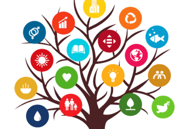 iZero for NetZERO Sustainable Development Goals