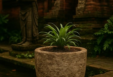 Arcanum Limestone Pot Collection