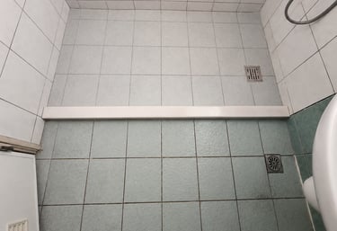 屏東瑞光路三段施工前