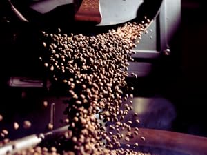Always freshly roasted coffee for every taste.