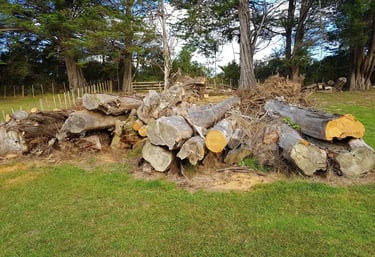 Image of a pile of fallen trees in a paddock