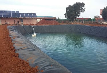 Réduction de l'évaporation dans un bassin agricole d'irrigation grâce aux boules flottantes