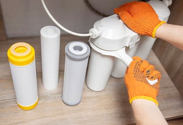 Water treatment system maintenance