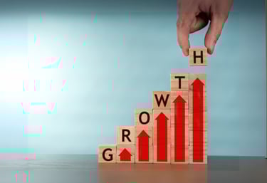 Elevin - Strategic Growth Services