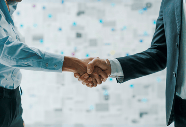 Elevin - Strategic Growth Services