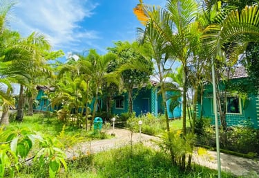 dandeli-resort-cotttage view