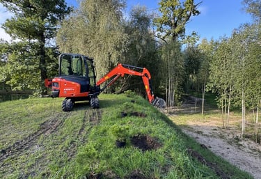 augalu sodinimas, medeliu sodinimas, duobiu kasimas augalams