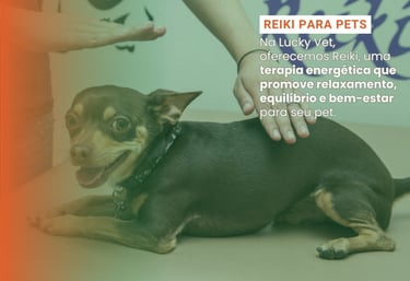 Reiki para Pets é na Lucky Vet, Pet Shop e Clínica Vererinária na Zona Norte de São Paulo