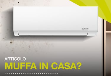 Beretta Climatizzazione Air Gas