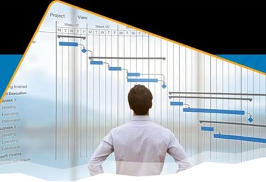 a man standing in front of a large screen with a diagram of a project execution plan.