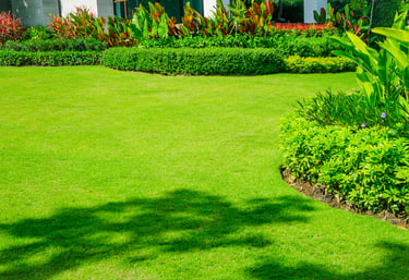 entretien de jardin pour particulier et professionnel dans les alpes maritimes 06.