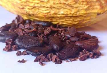 a cacao on top of a pile of chocolate chips