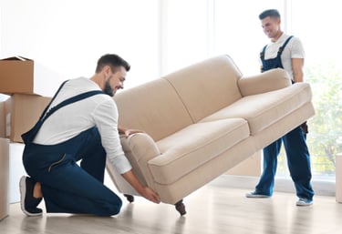 Profesionales de Mudanzas