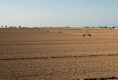 Wide landscape photography of high-yield agricultural land in Piura, Peru. Fertile fields, modern irrigation, clear sky, professional agricultural context.
